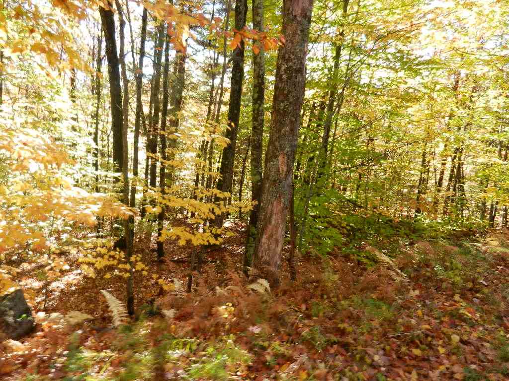 60 Sawyer Lake Road Gilmanton, NH 03237 - Photo 6 of 8 Gallery Image 6