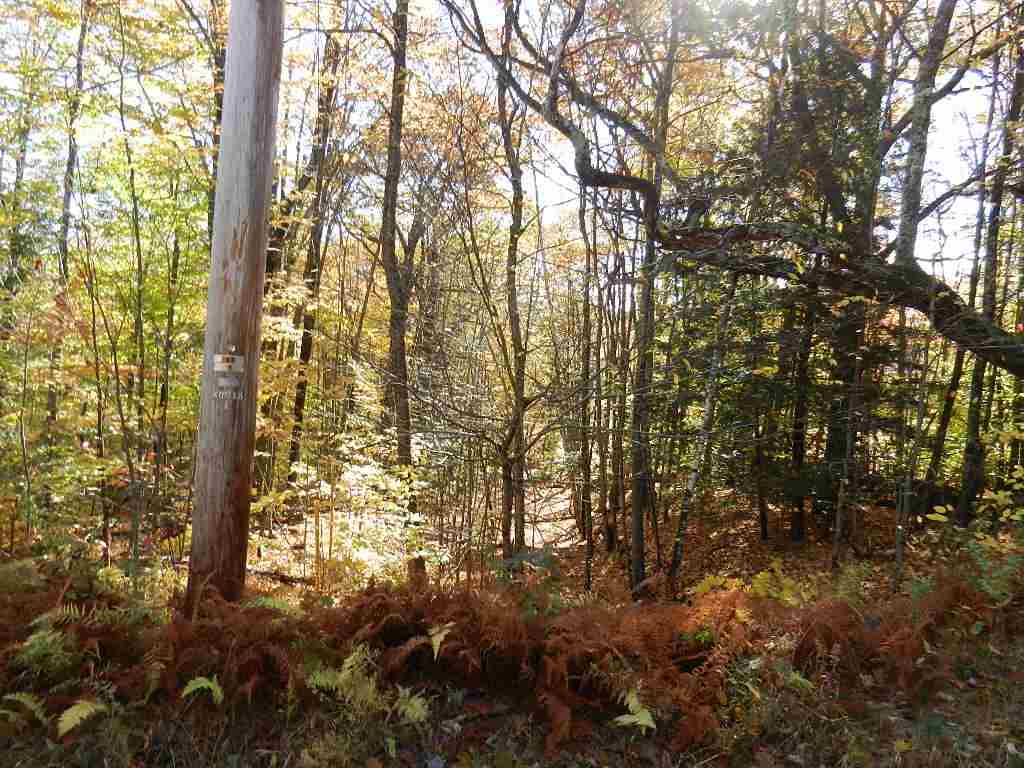 60 Sawyer Lake Road Gilmanton, NH 03237 - Photo 8 of 8 Gallery Image 8