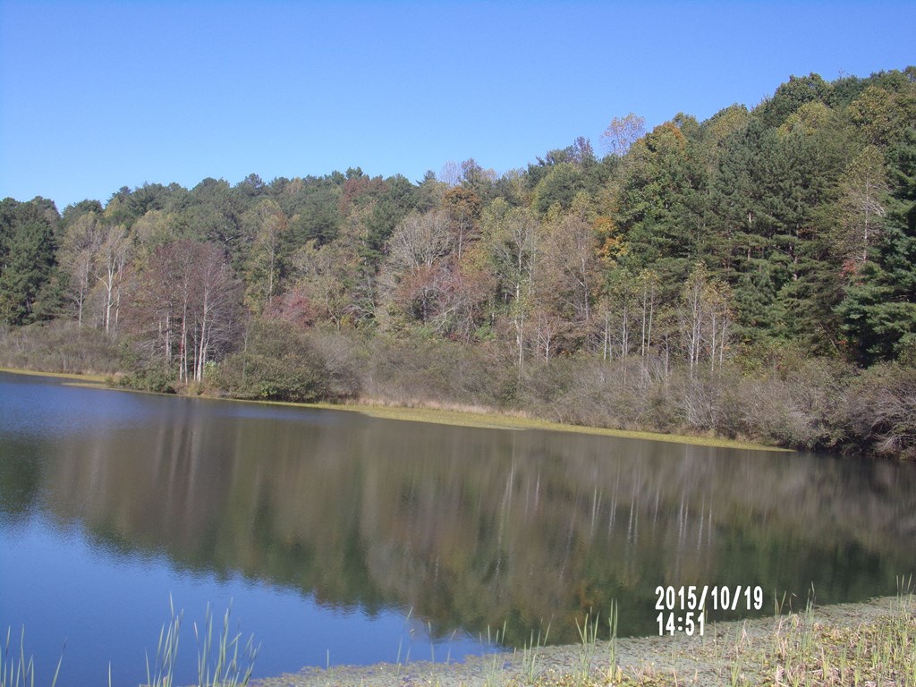 L336 Brushy Top Road Ellijay, GA 30540 - Photo 12 of 15 Front Lake