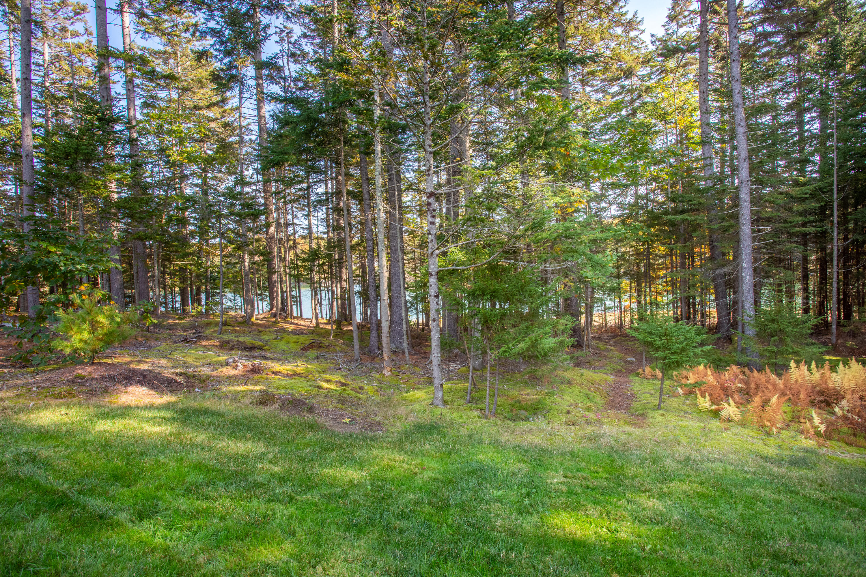2 Treasure Point Road St. George, ME 04860 - Photo 29 of 49 44-2TreasurePointRd-StGeorge-KS
