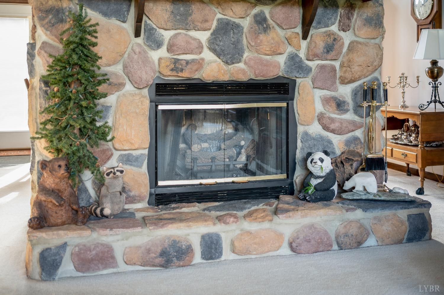 7903 Charlemont Road Goode, VA 24556 - Photo 27 of 47 a view of fireplace and living room