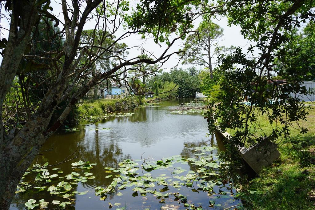 15371 Mango Drive Punta Gorda, FL 33955 - Photo 3 of 62 a view of a lake with a tree
