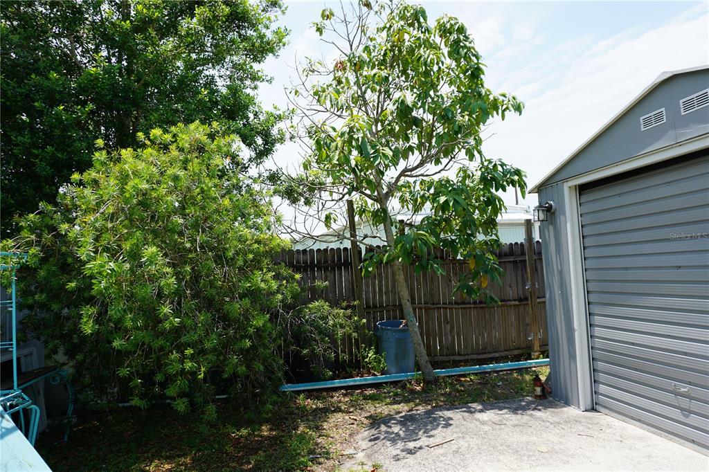 15371 Mango Drive Punta Gorda, FL 33955 - Photo 46 of 62 a backyard of a house with lots of green space