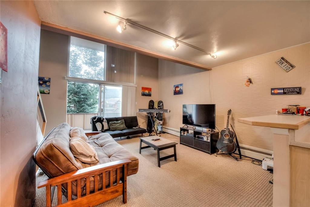 163 High Tor Road, Unit 10 Breckenridge, CO 80424 - Photo 11 of 25 Gallery Image 11