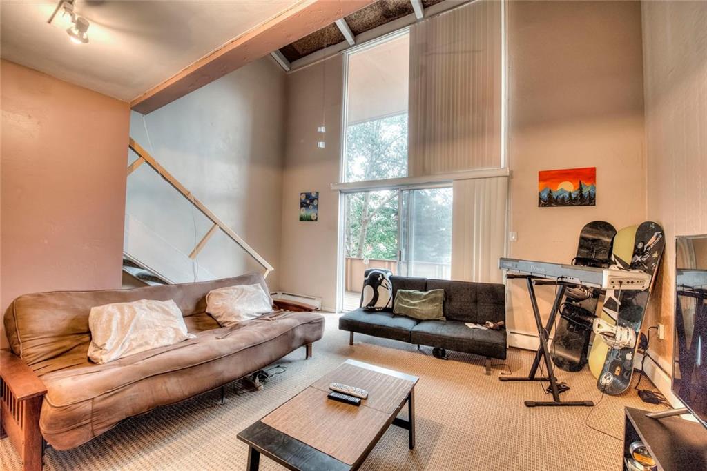 163 High Tor Road, Unit 10 Breckenridge, CO 80424 - Photo 12 of 25 Gallery Image 12