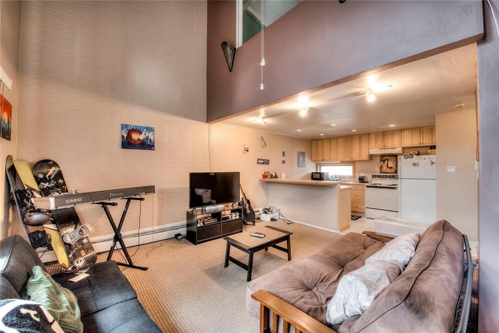 163 High Tor Road, Unit 10 Breckenridge, CO 80424 - Photo 16 of 25 Gallery Image 16