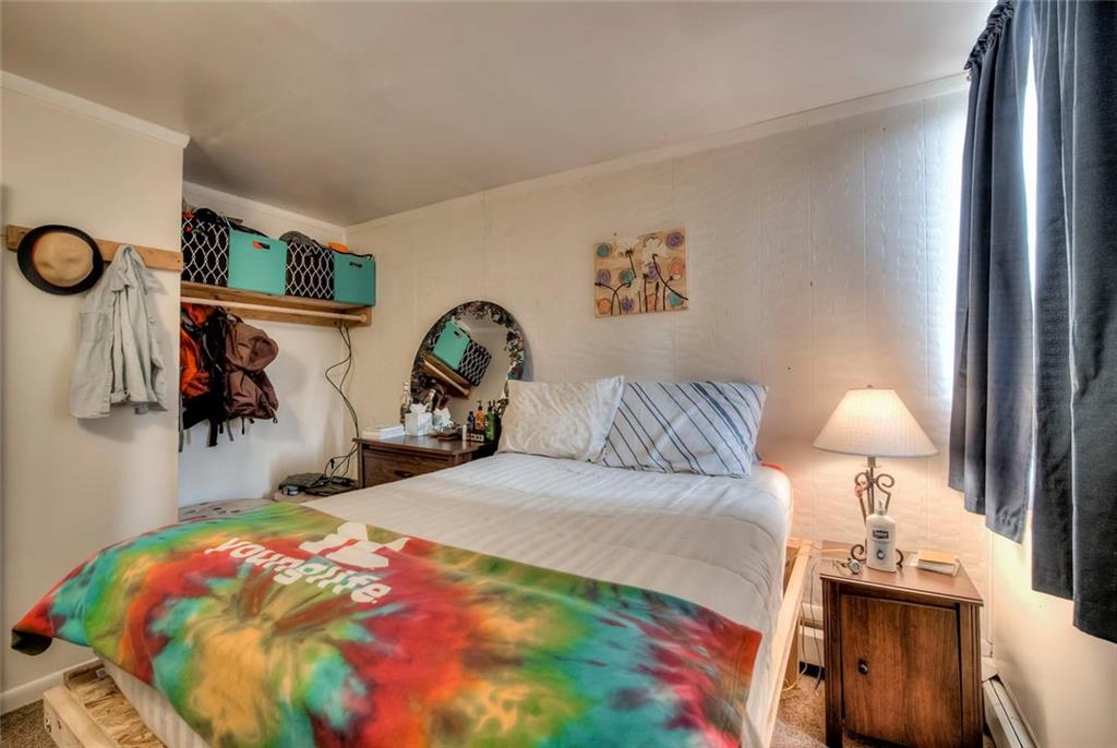 163 High Tor Road, Unit 10 Breckenridge, CO 80424 - Photo 10 of 25 Gallery Image 10