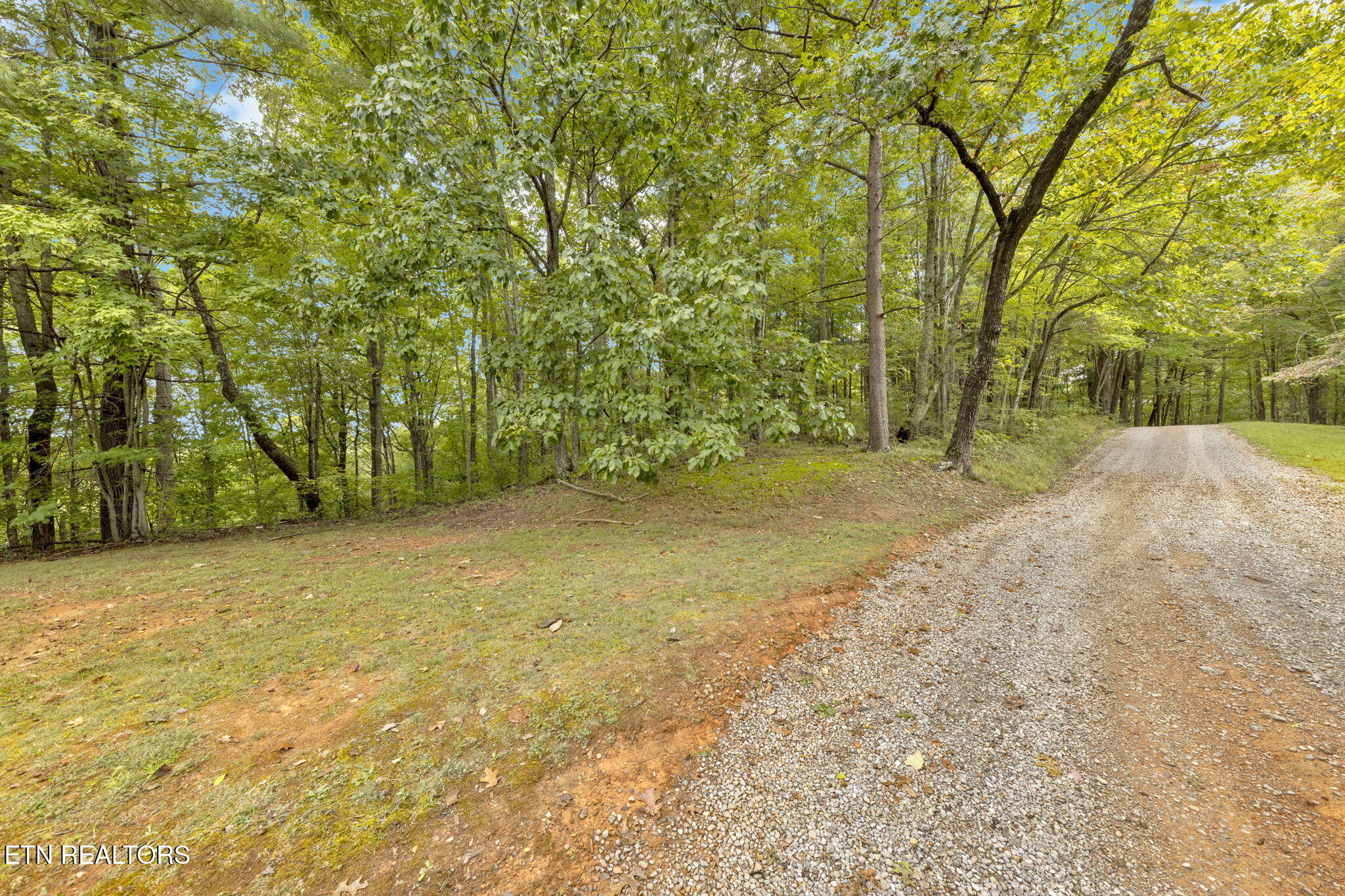 399 Cooper Road Vonore, TN 37885 - Photo 11 of 26 399 Cooper Road