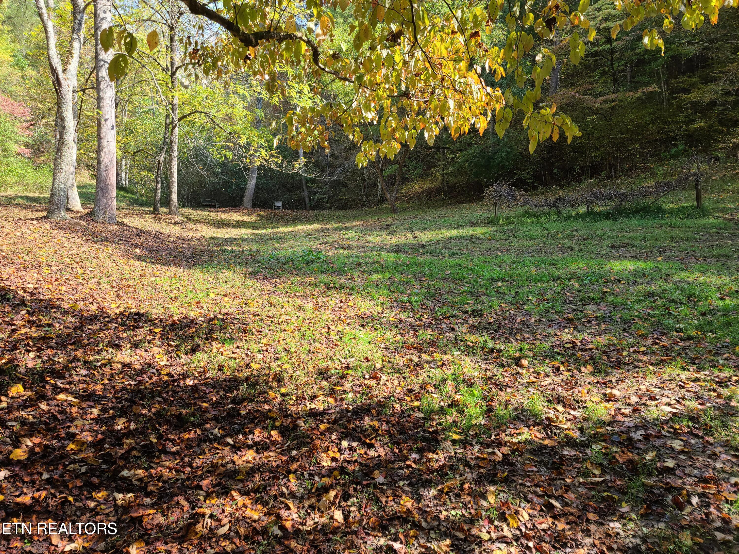 399 Cooper Road Vonore, TN 37885 - Photo 12 of 26 399 Cooper Road