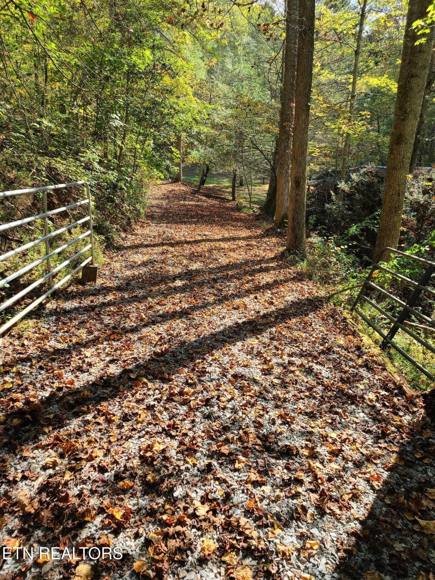 399 Cooper Road Vonore, TN 37885 - Photo 13 of 26 399 Cooper Road