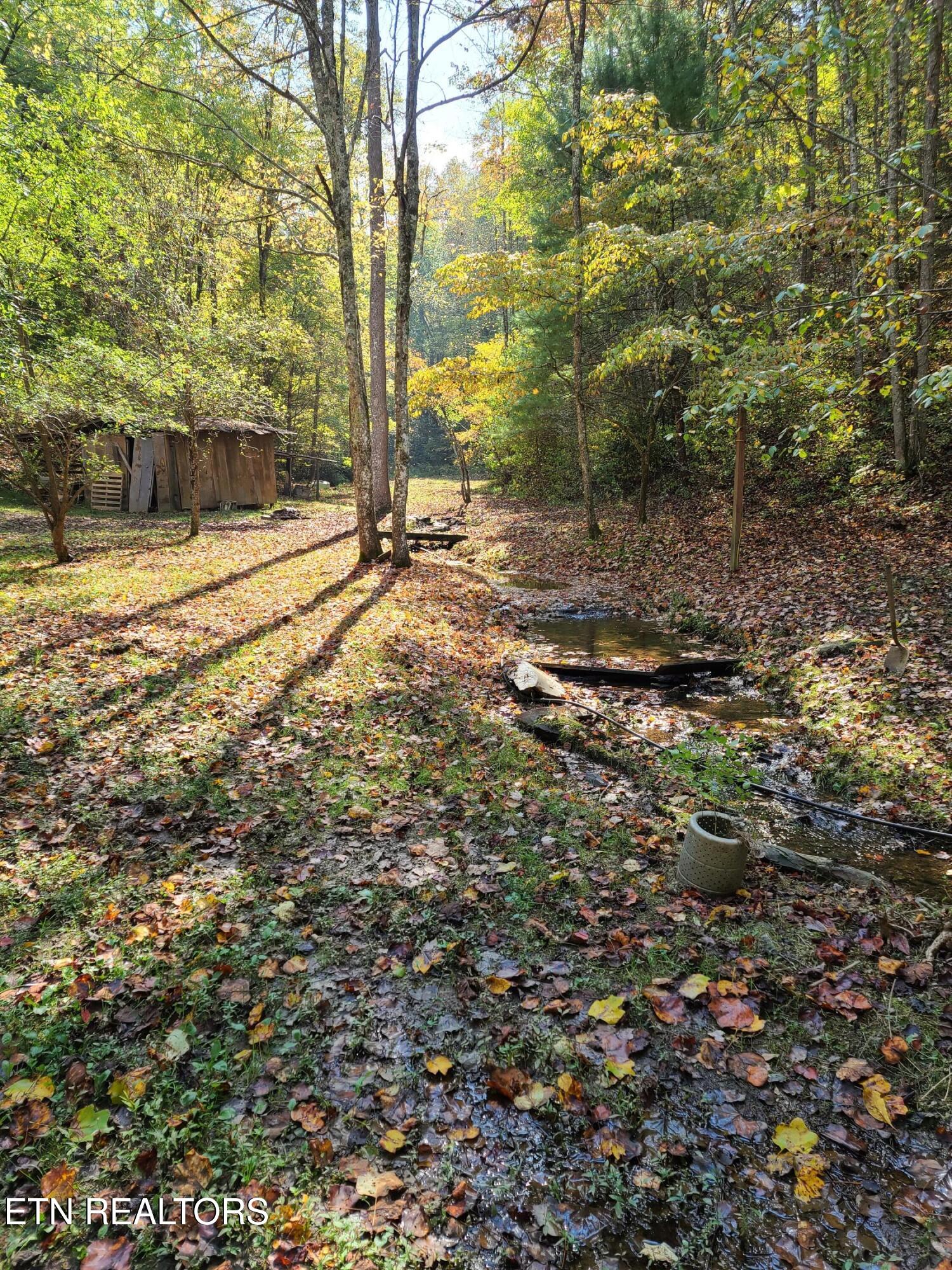399 Cooper Road Vonore, TN 37885 - Photo 14 of 26 399 Cooper Road