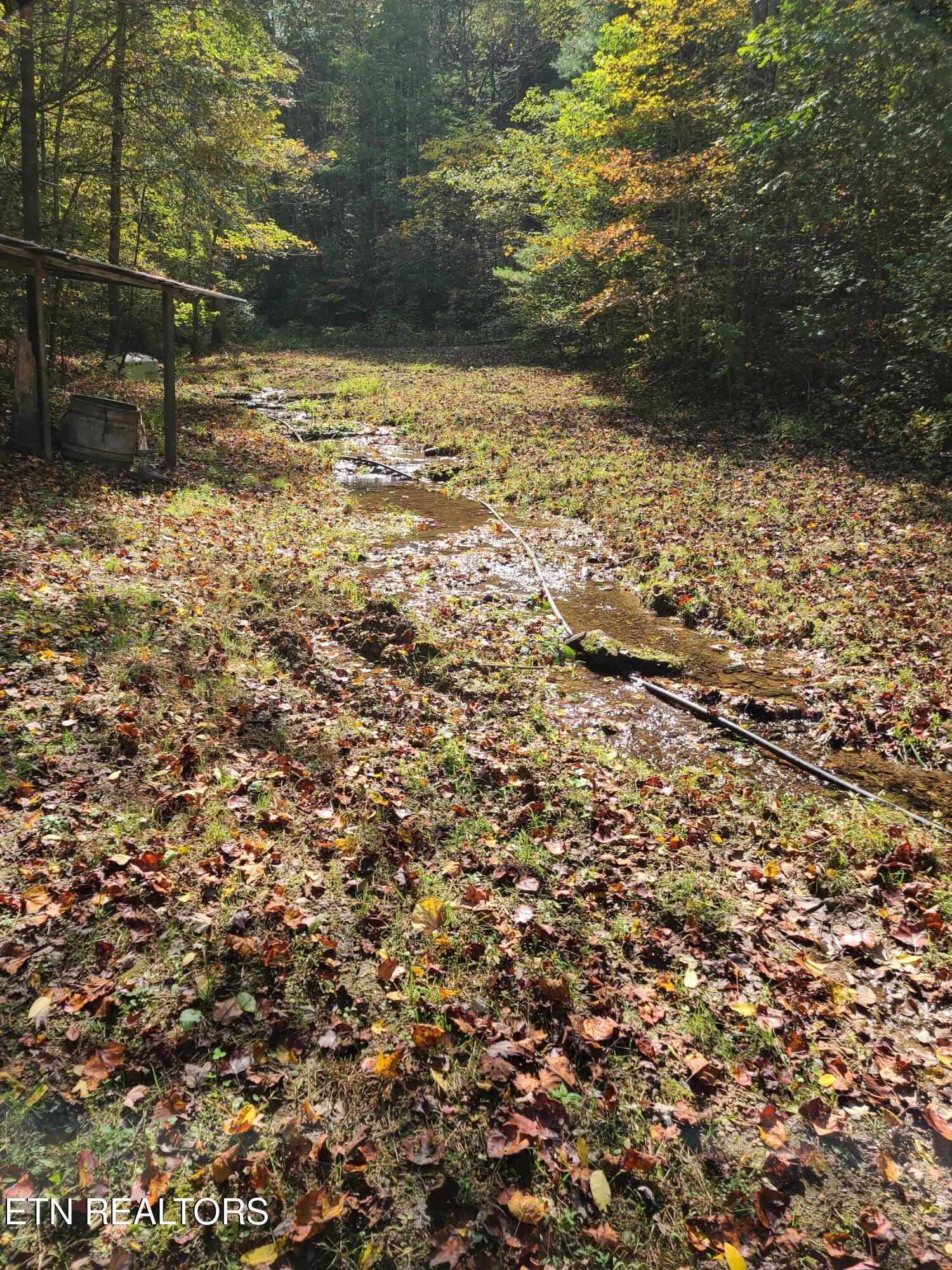 399 Cooper Road Vonore, TN 37885 - Photo 15 of 26 399 Cooper Road