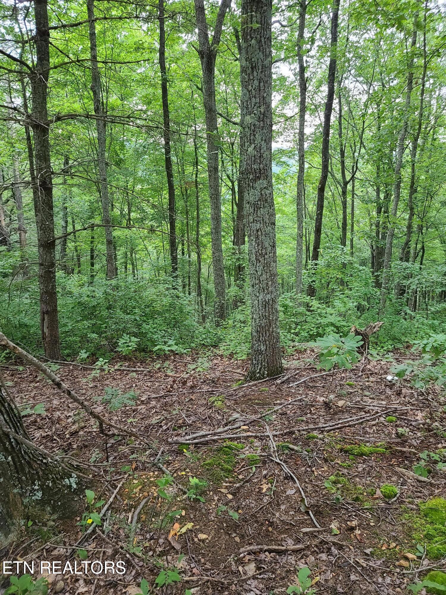 399 Cooper Road Vonore, TN 37885 - Photo 18 of 26 399 Cooper Road