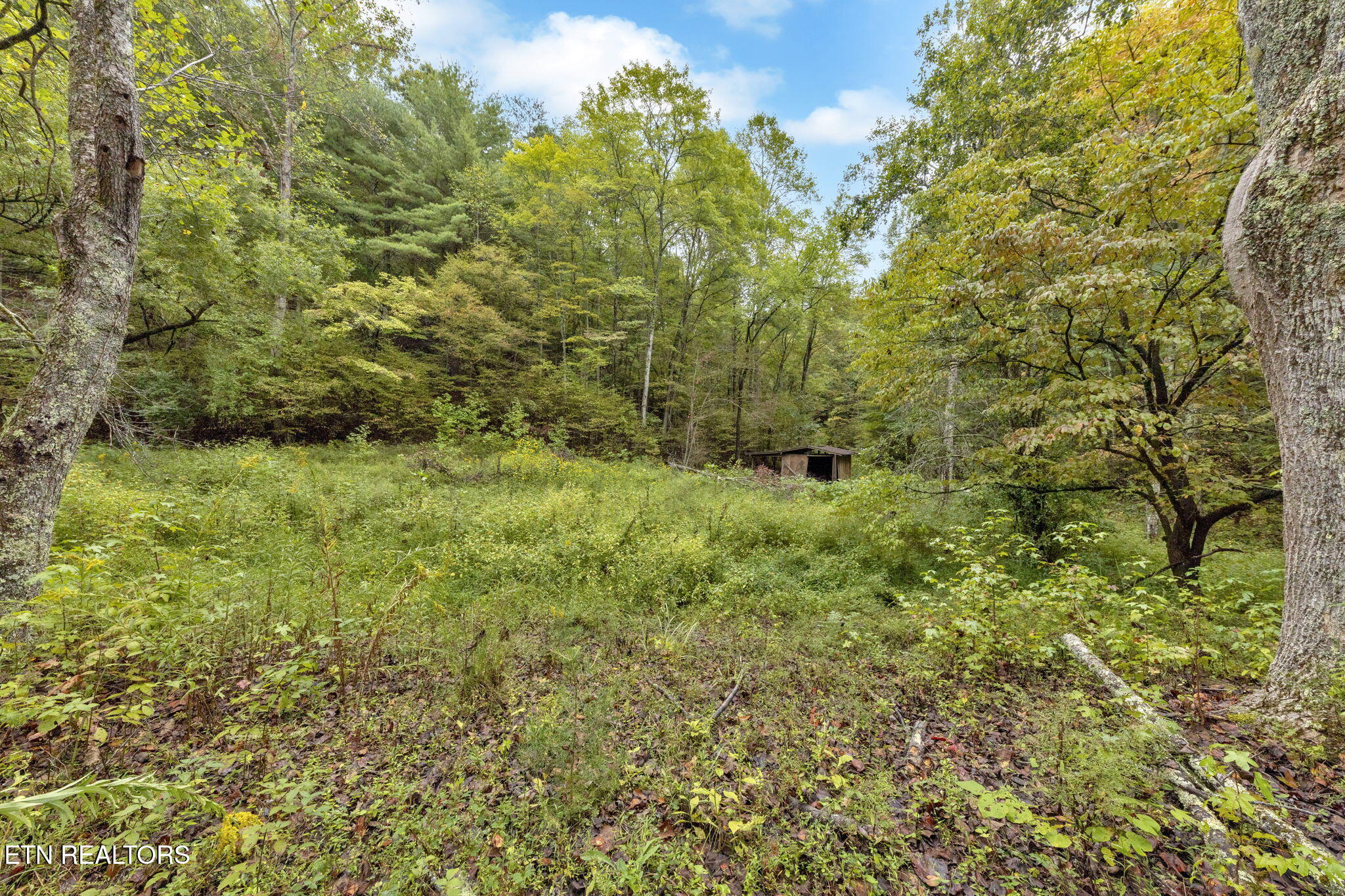 399 Cooper Road Vonore, TN 37885 - Photo 2 of 26 399 Cooper Road