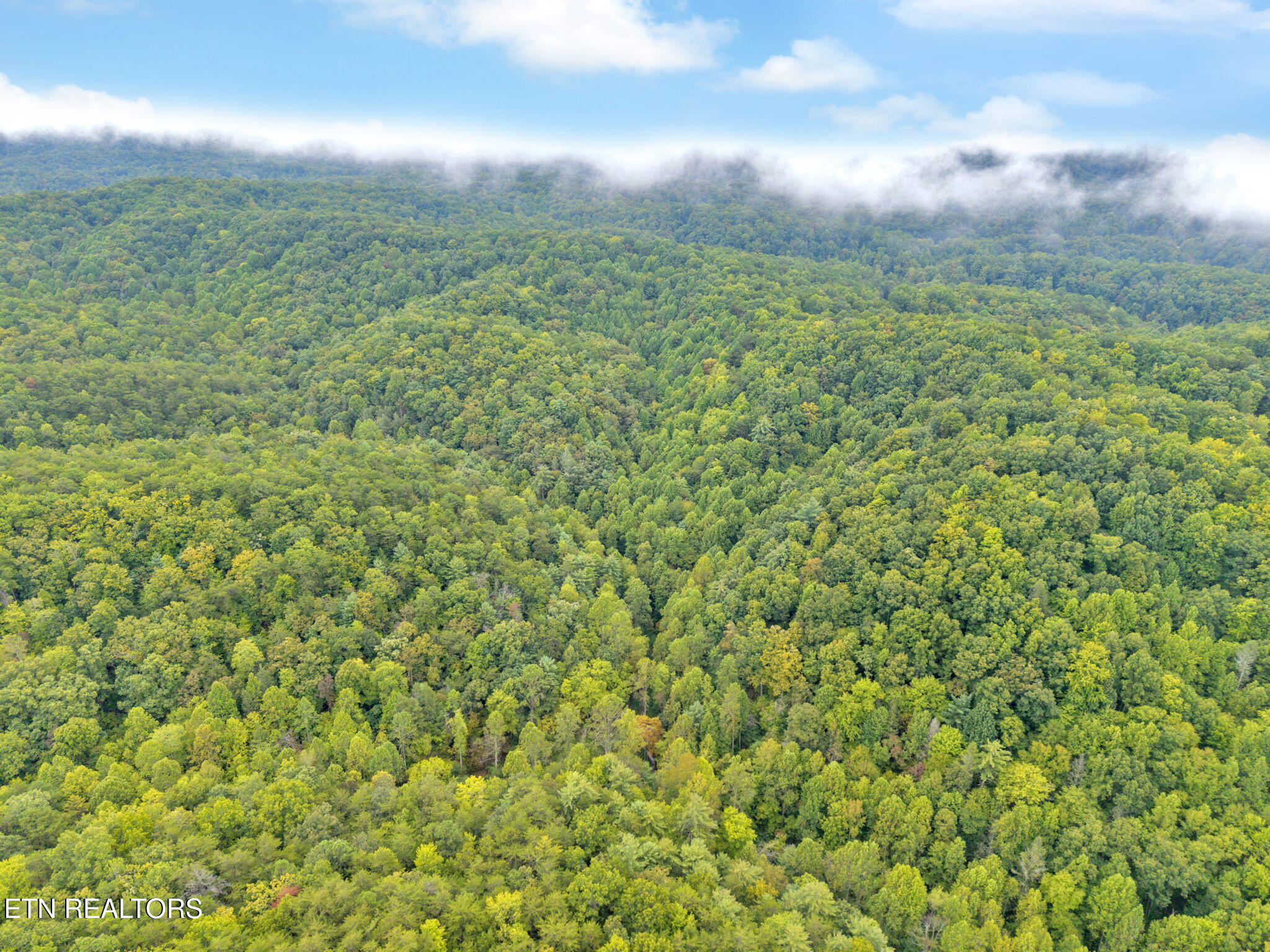 399 Cooper Road Vonore, TN 37885 - Photo 21 of 26 399 Cooper Road