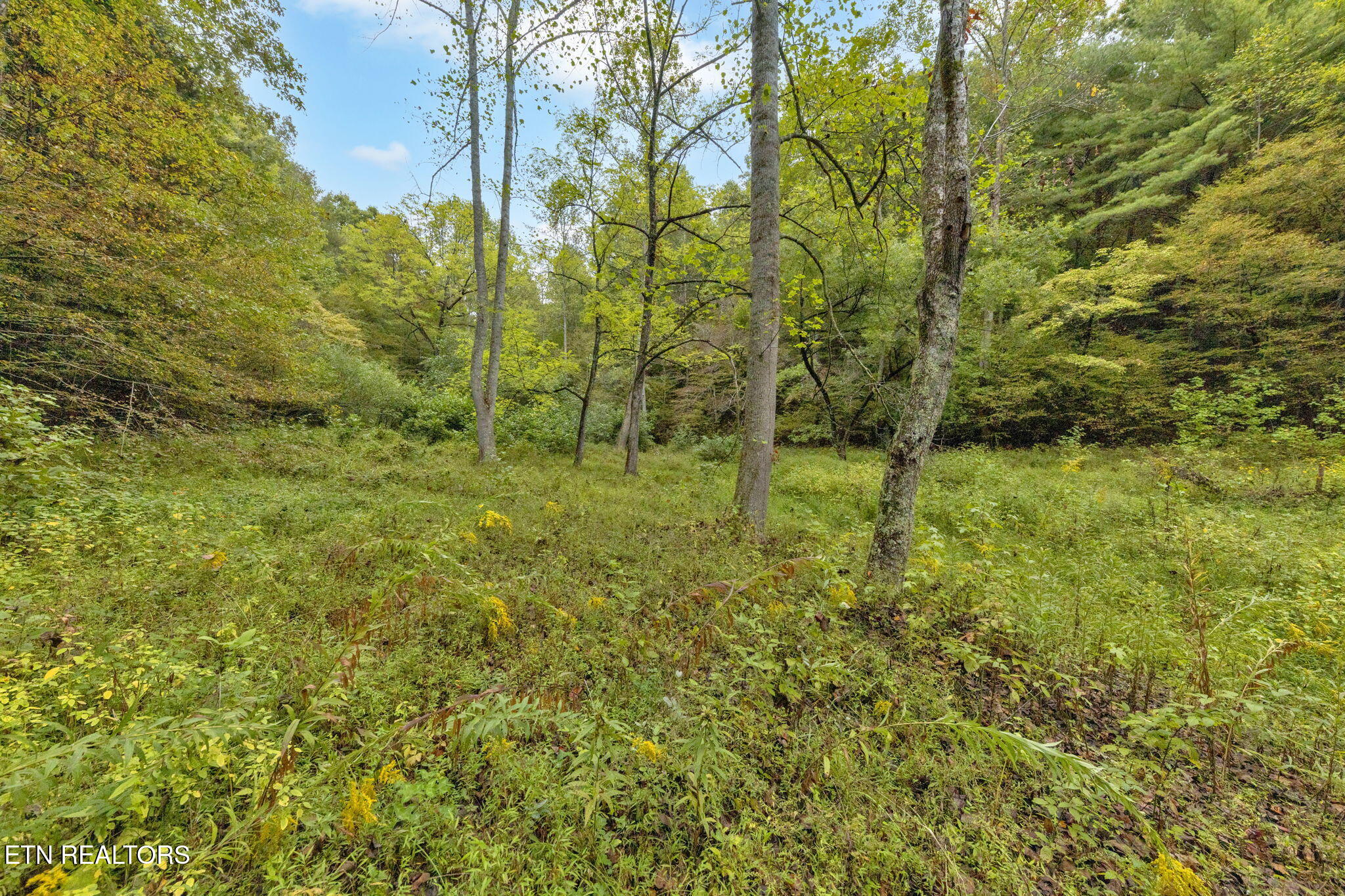 399 Cooper Road Vonore, TN 37885 - Photo 3 of 26 399 Cooper Road