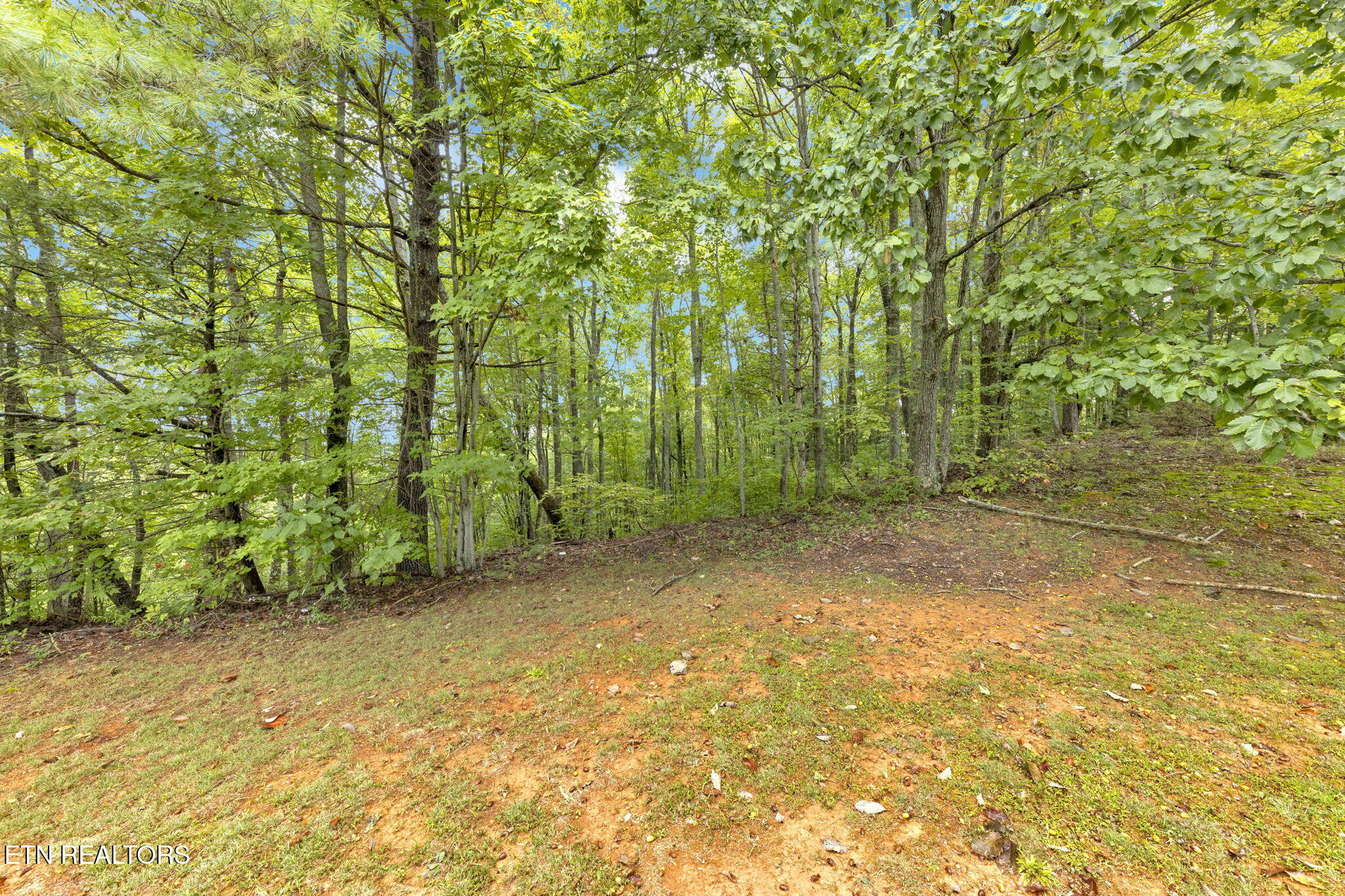 399 Cooper Road Vonore, TN 37885 - Photo 6 of 26 399 Cooper Road