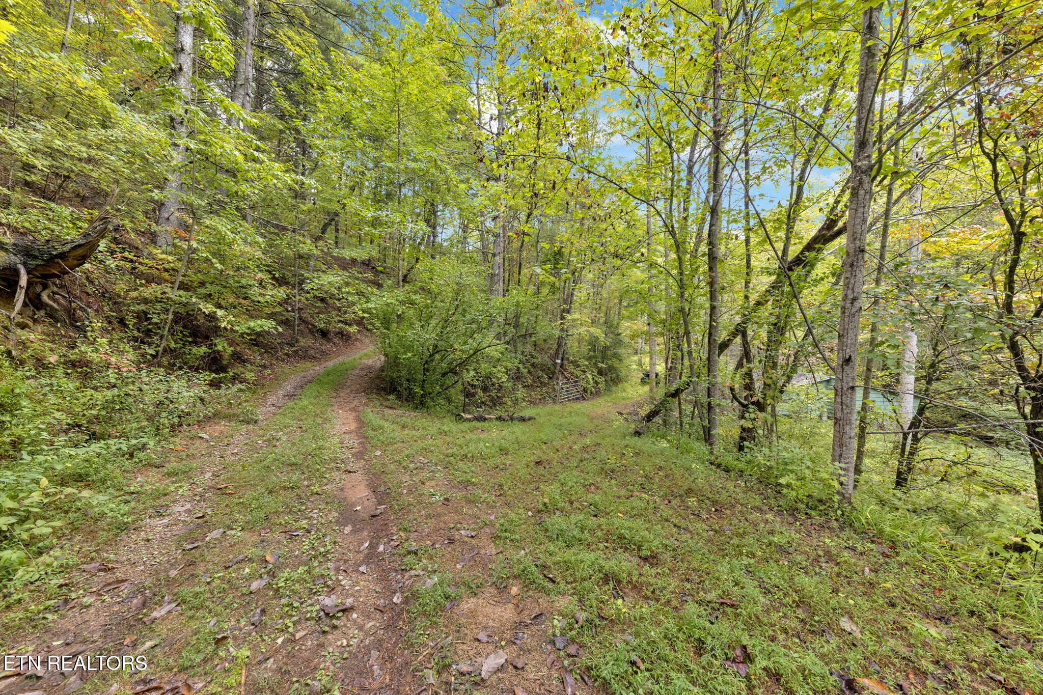 399 Cooper Road Vonore, TN 37885 - Photo 7 of 26 399 Cooper Road