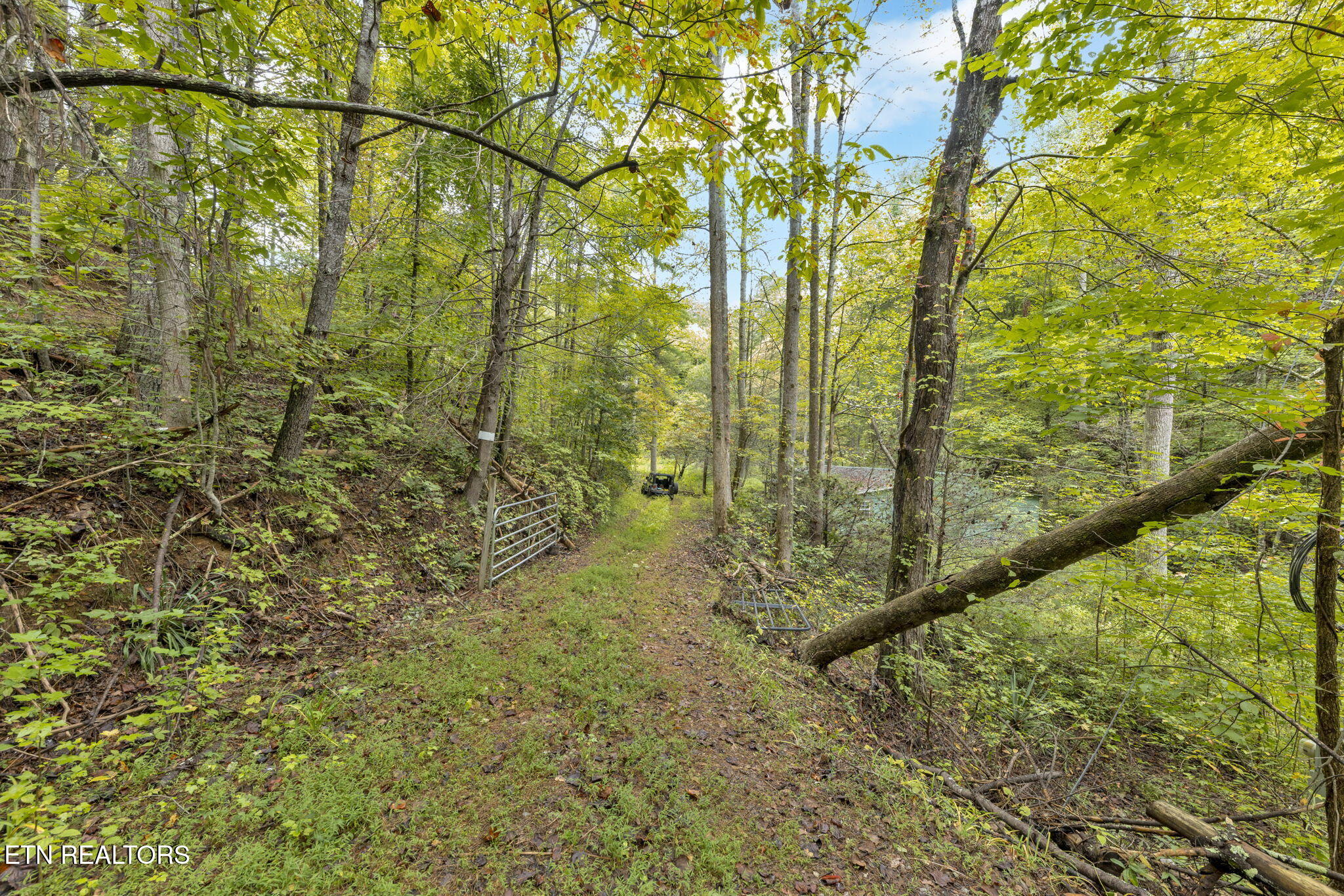 399 Cooper Road Vonore, TN 37885 - Photo 8 of 26 399 Cooper Road