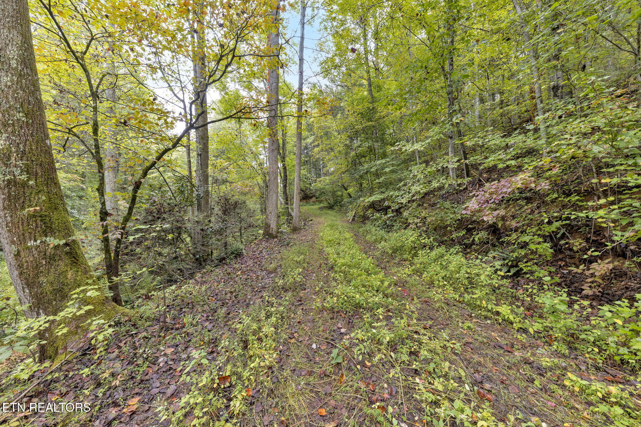 399 Cooper Road Vonore, TN 37885 - Photo 9 of 26 399 Cooper Road