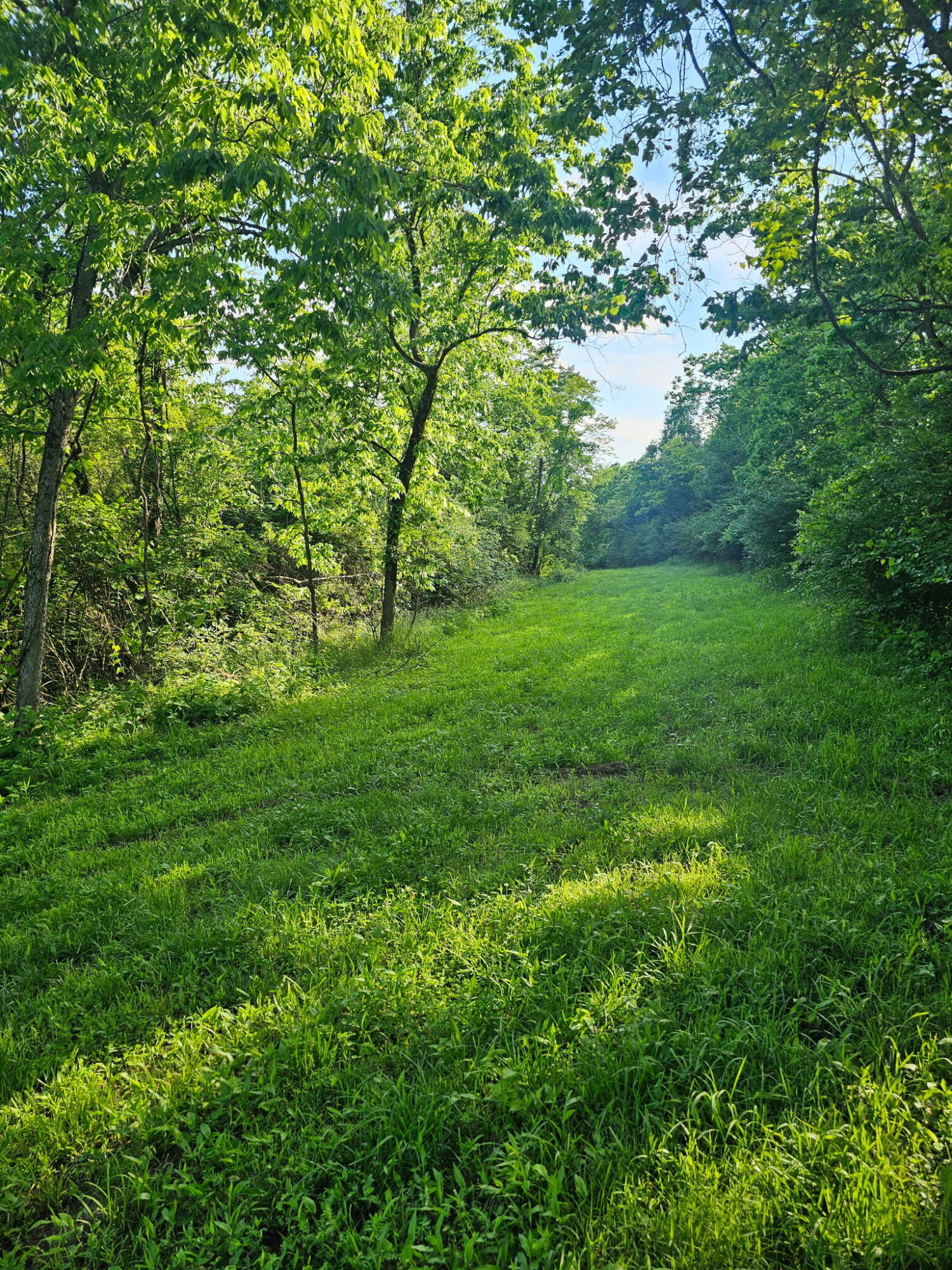 1 A Saltwell Road Carlisle, KY 40311 - Photo 8 of 26 6110889522510156322
