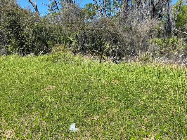 $10,000 | 27-15 Parcel De Leon Springs, De Leon Springs, FL 32130