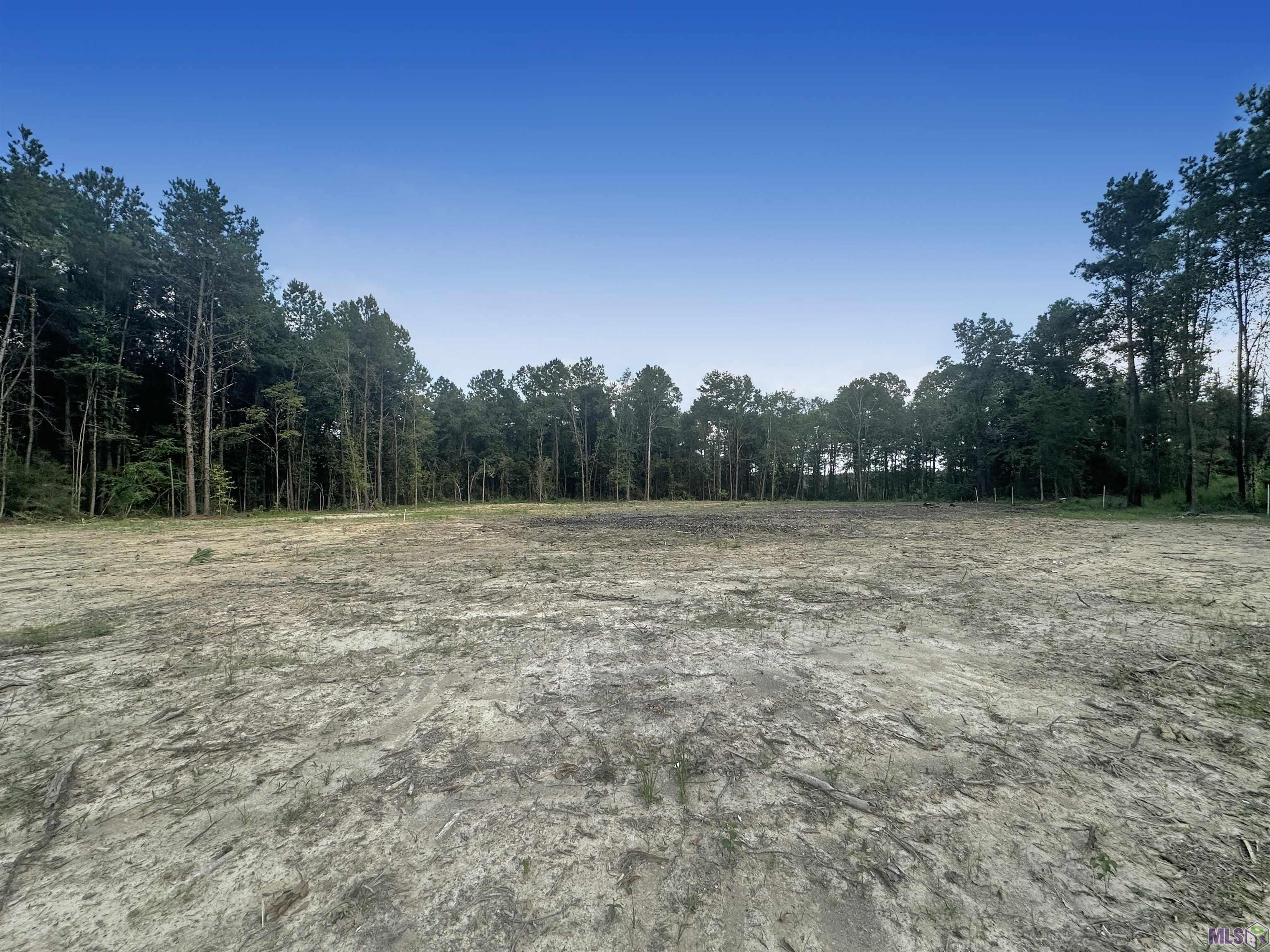 14342 Springfield Road Walker, LA 70785 - Photo 2 of 4