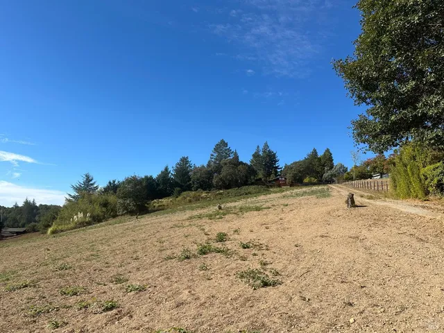 a view of dirt yard with a tree
