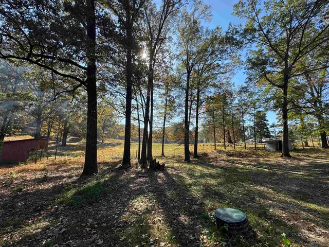 a view of a park with large trees
