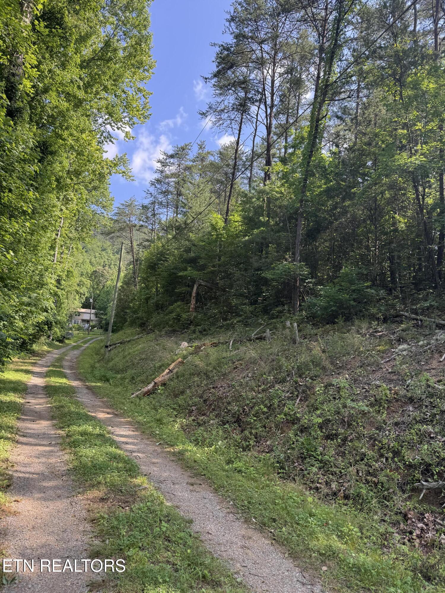 Lot 23 Walden Ridge Road Sevierville, TN 37862 - Photo 13 of 15 IMG_6021