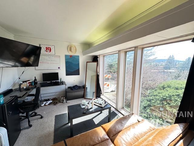 325 Taylor Avenue Moscow, ID 83843 - Photo 15 of 47