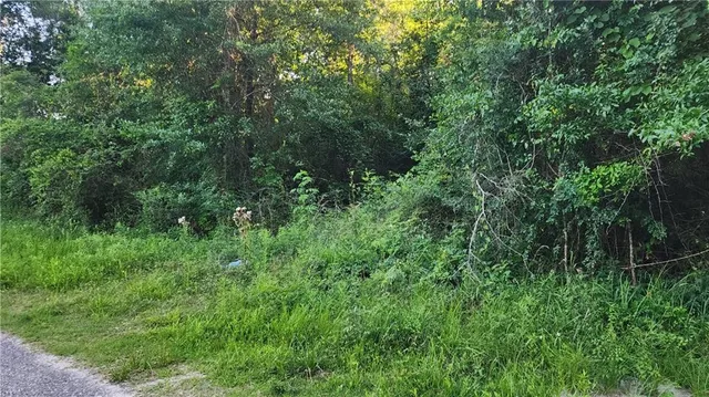 $25,000 | 0 North Audubon Street, Slidell, LA 70460