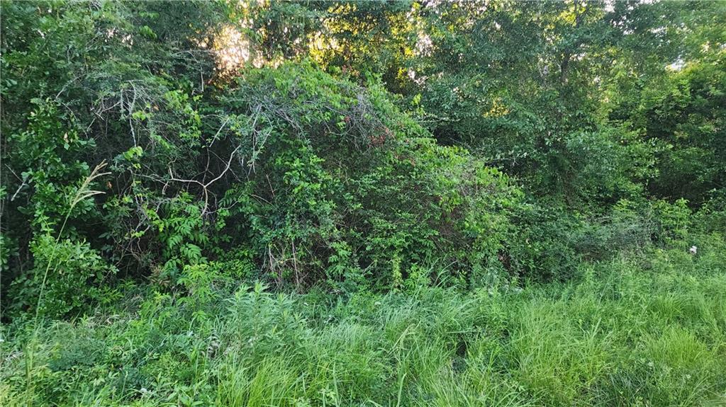 0 North Audubon Street Slidell, LA 70460 - Photo 3 of 3