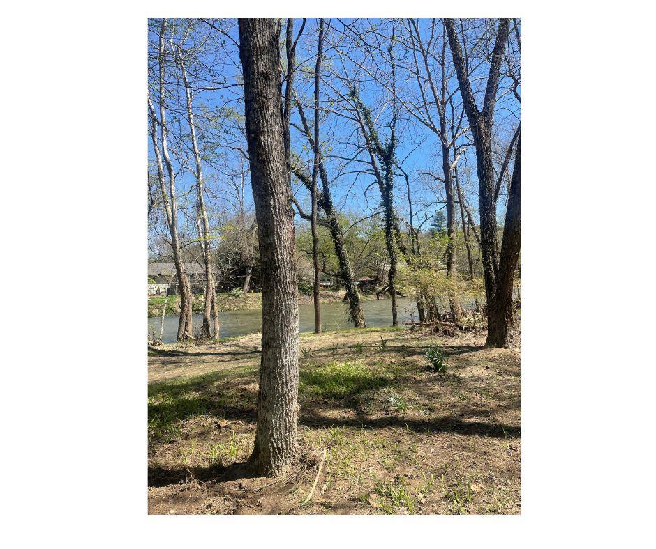 301 Underwood Hill Road Murphy, NC 28906 - Photo 13 of 15 Gallery Image 13