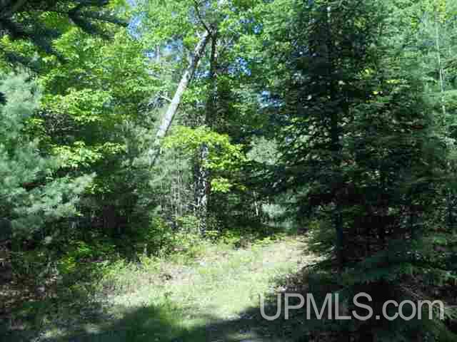 Tbd Missouri Rd - Co Rd 565, Unit LAT 46 31633 LON 87 5822 Gwinn, MI 49841 - Photo 27 of 30