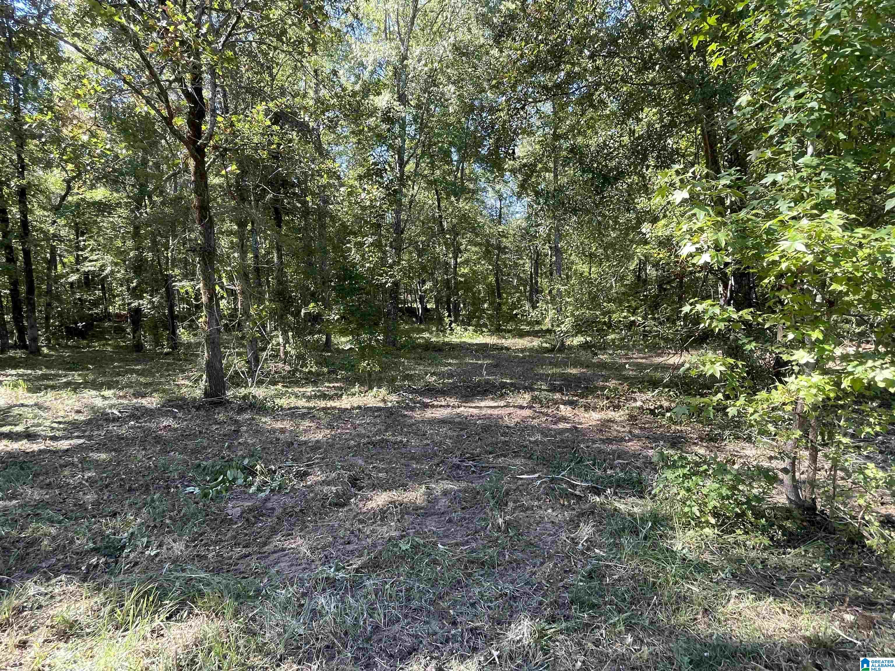 0 Paradise Point Drive Columbiana, AL 35051 - Photo 12 of 23