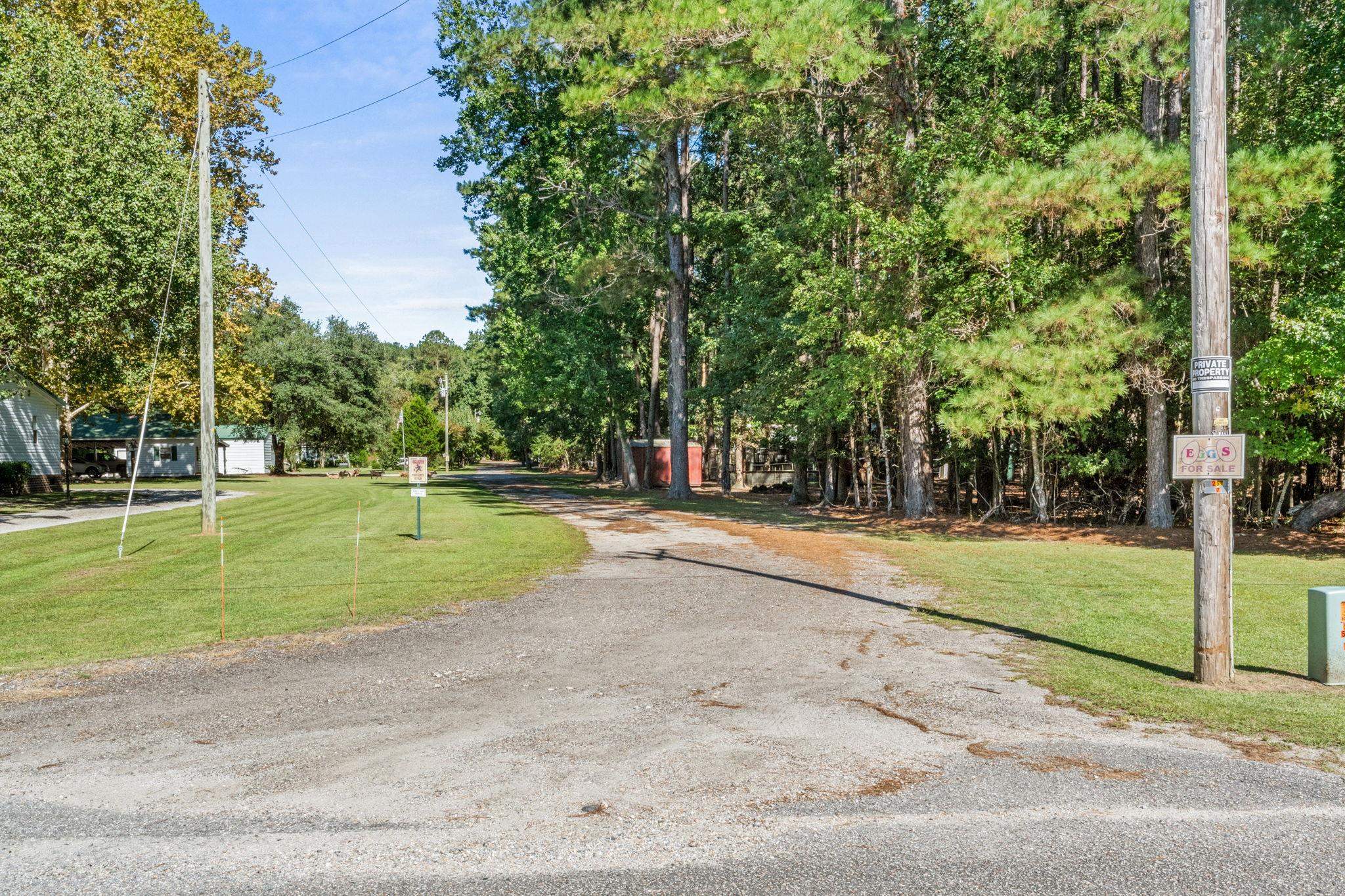 245 Bear Grass Road East Longs, SC 29568 - Photo 56 of 68 Gallery Image 56