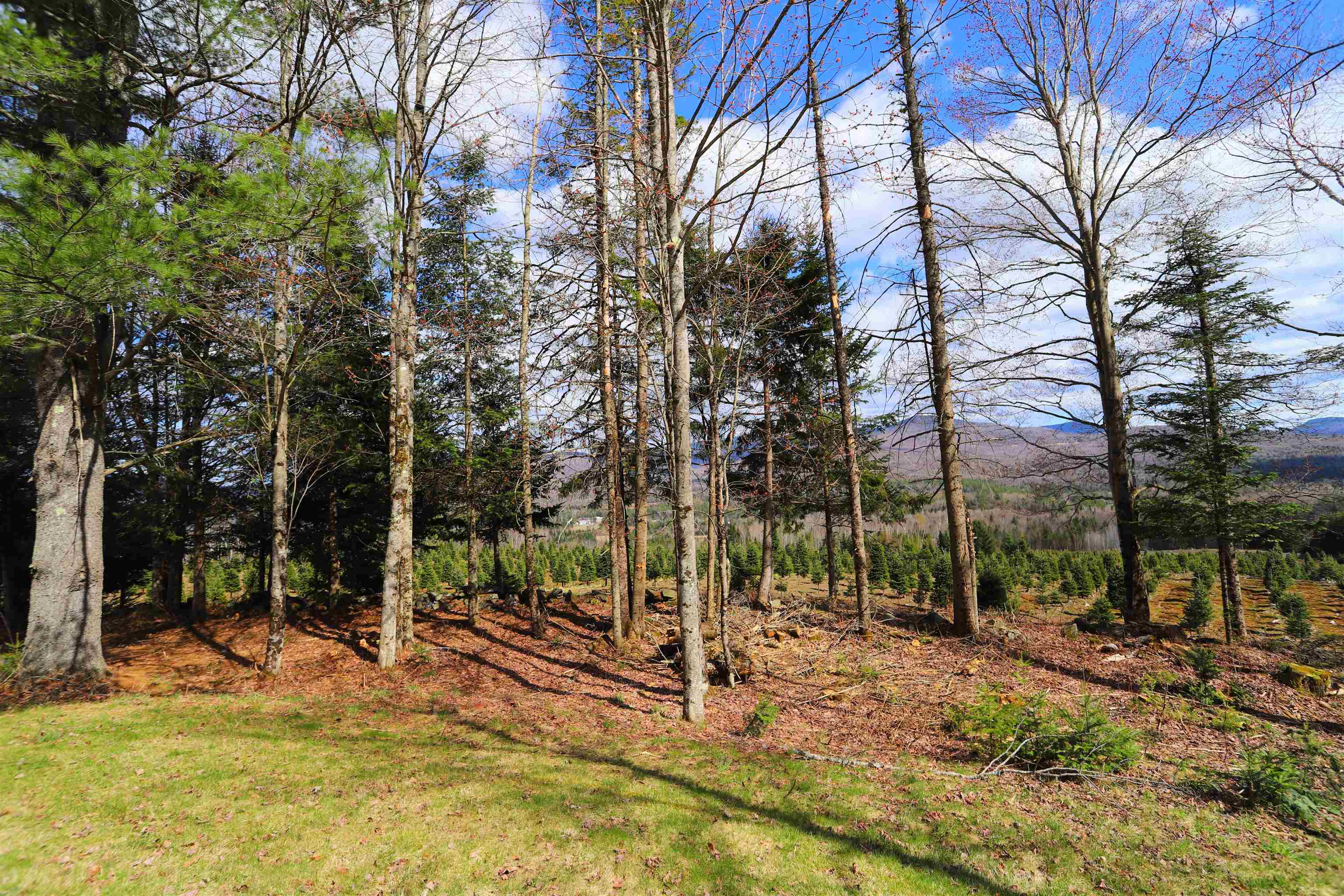 374 Crank Road Bloomfield, VT 05905 - Photo 33 of 36