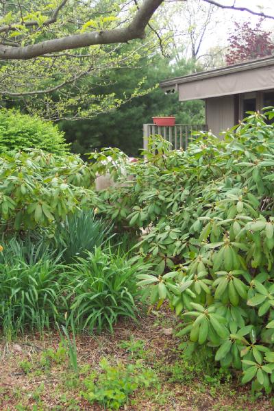 100 Spring Valley Road Easton, PA 18042 - Photo 12 of 13 gardens & summer living