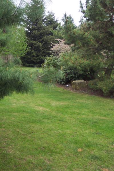 100 Spring Valley Road Easton, PA 18042 - Photo 8 of 13 gardens & summer living