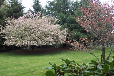 100 Spring Valley Road Easton, PA 18042 - Photo 9 of 13 gardens & summer living