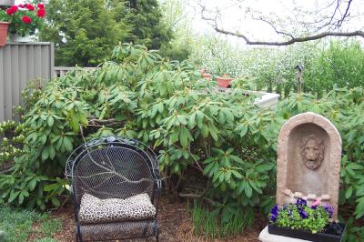 100 Spring Valley Road Easton, PA 18042 - Photo 10 of 13 gardens & summer living