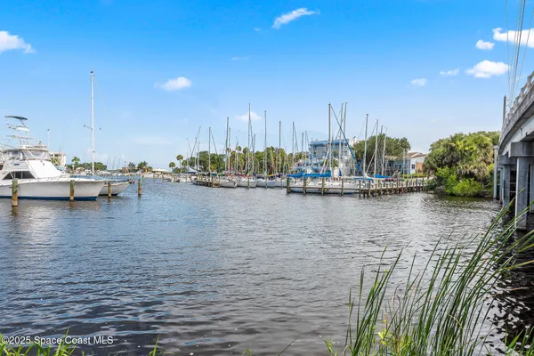 a view of a lake with boats and palm trees