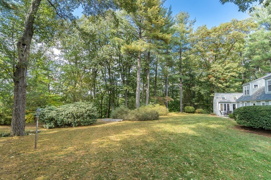 8 Nob Hill Road Wayland, MA 01778 - Photo 5 of 28 a view of backyard with green space
