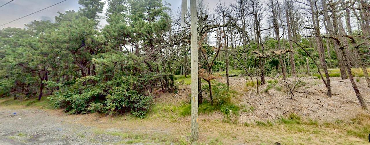 202-214 Old Country Road Eastport, NY 11941 - Photo 8 of 10 a view of yard