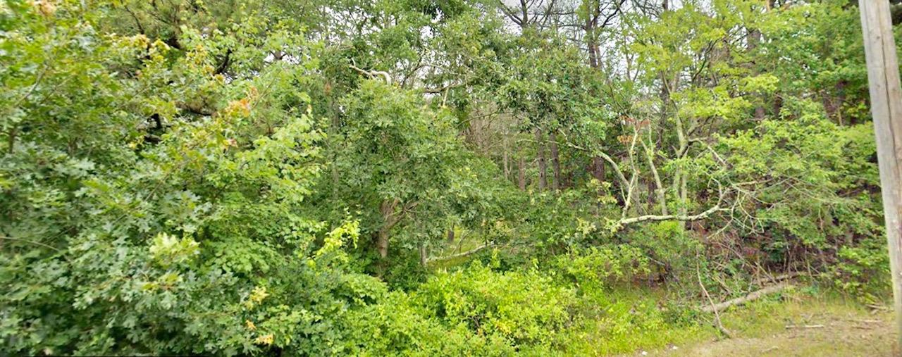 202-214 Old Country Road Eastport, NY 11941 - Photo 10 of 10 a view of a lush green forest