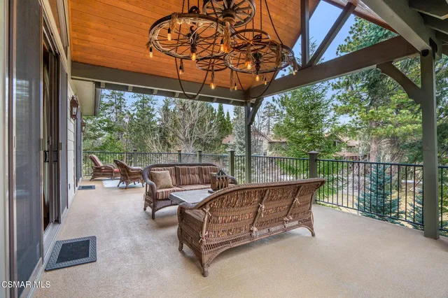 a view of a yard with plants