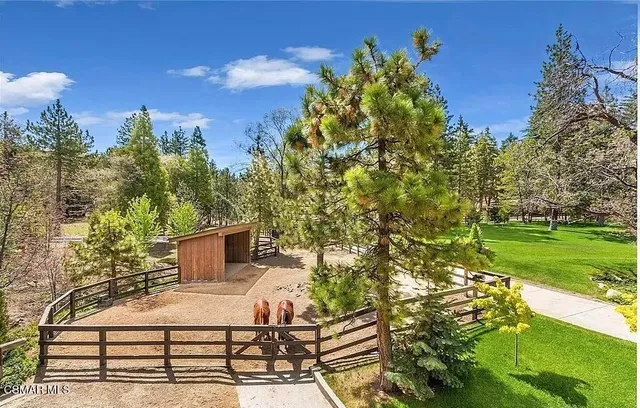a view of outdoor space and yard
