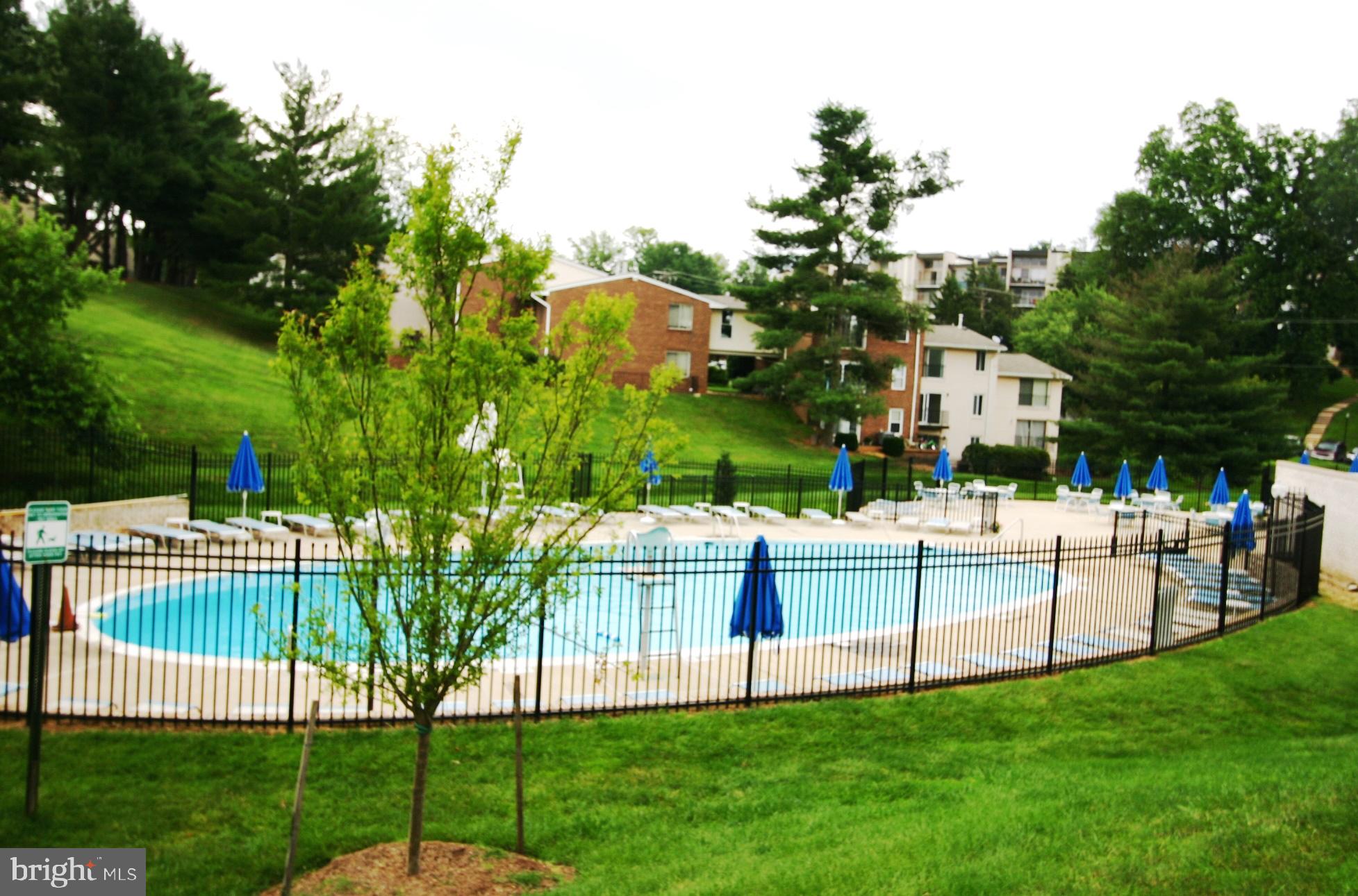 14429 Parkvale Road, Unit 3 Rockville, MD 20853 - Photo 24 of 28 Community Pool.