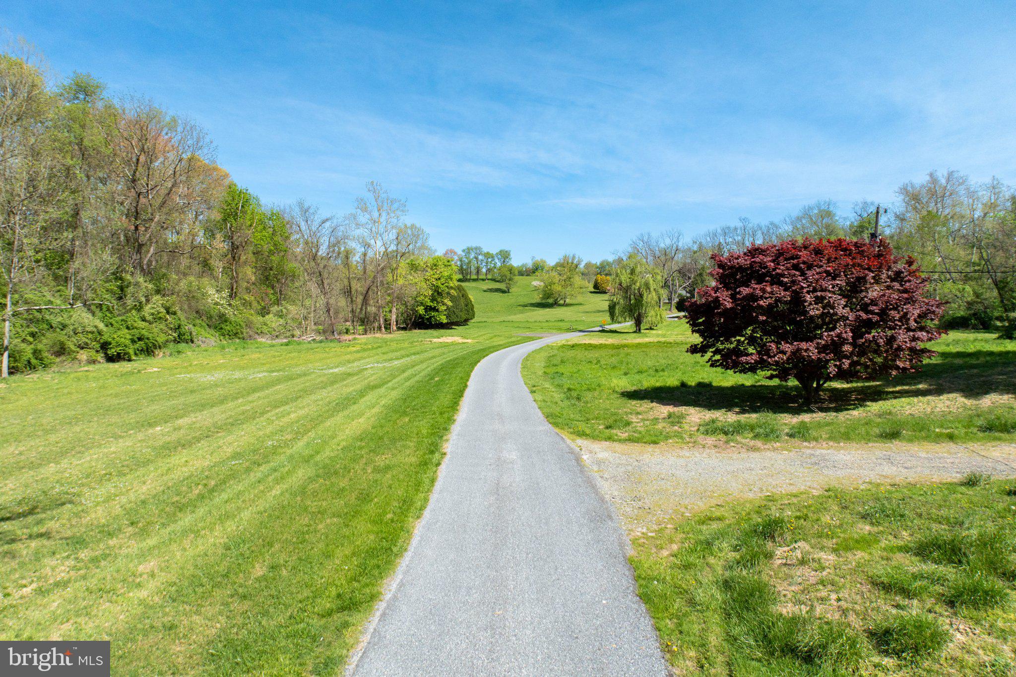 Scenic path through lush greenery.